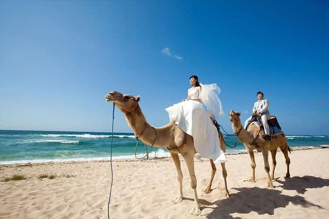 Camel Safari 30 minutes In White Sand Beach - Special Considerations