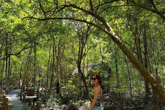 Can Gio mangrove eco tour 1 day private - Practical Considerations & Value