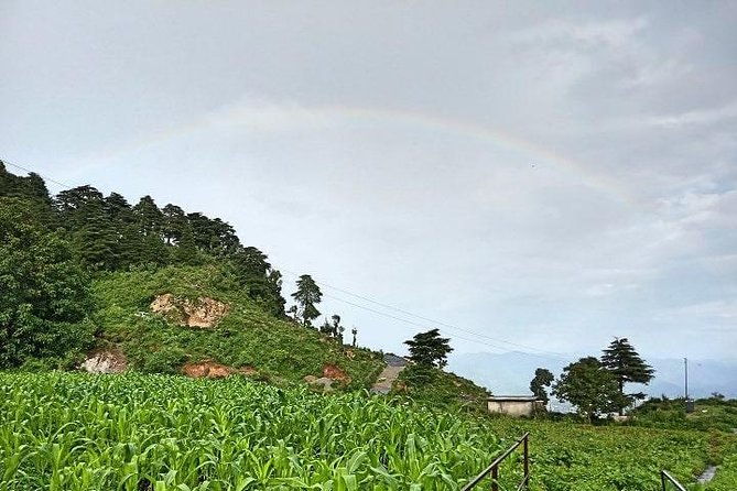 Chhaskhet Nature Walk - Final Thoughts