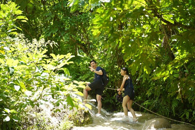 Chiang Mai:Sticky Waterfall Adventure and Bua Tong Huge Cave Tour - Pricing and Overall Value