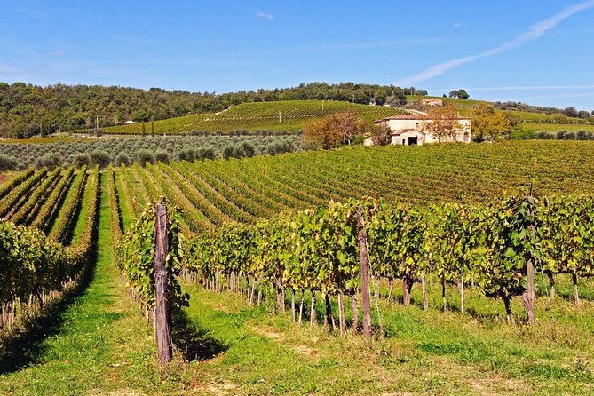 Chianti, SuperTuscan & San Gimignano - 2 wineries and light lunch - Final Thoughts: Is It Worth It?