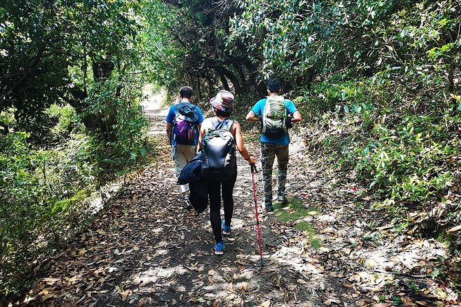 Chisapani - Nagarkot Trek Nepal - 3 Days - Practical Details to Keep in Mind