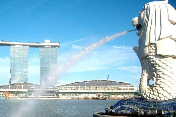 City Tour+Gardens by the Bay(FlowerDome&JurassicWorld) Transfers - Transportation and Logistics