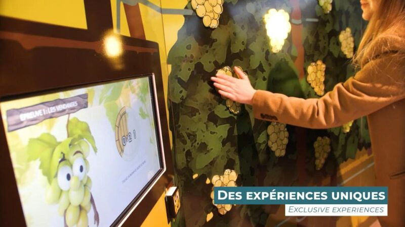 Colmar: Alsace Wine Museum Entrance Ticket - The Experience of Tastings and Digital Displays