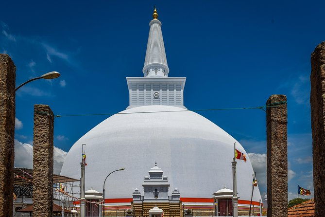 Colombo Port Private Shore excursion and Tours - Who Should Consider This Tour?