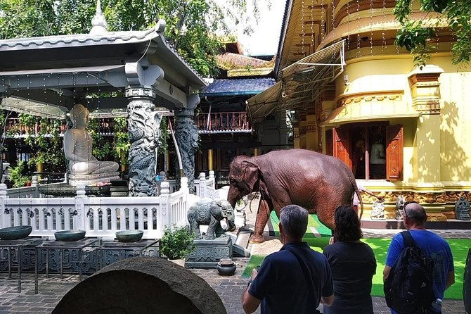 Colombo private City Tour by TukTuk Experience Morning or Evening - Who Is This Tour Perfect For?