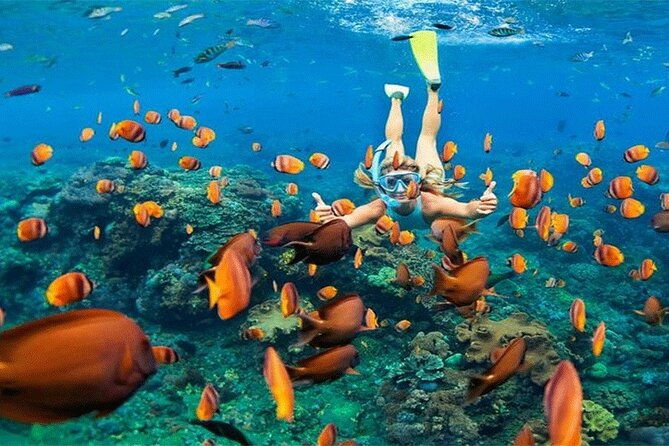 Combination Tour: Ayung river rafting With Blue Lagoon Snorkeling - Cost & Value Analysis