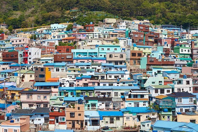 Cruise Layover : Small Group Busan Highlight Day Tour - Final Thoughts