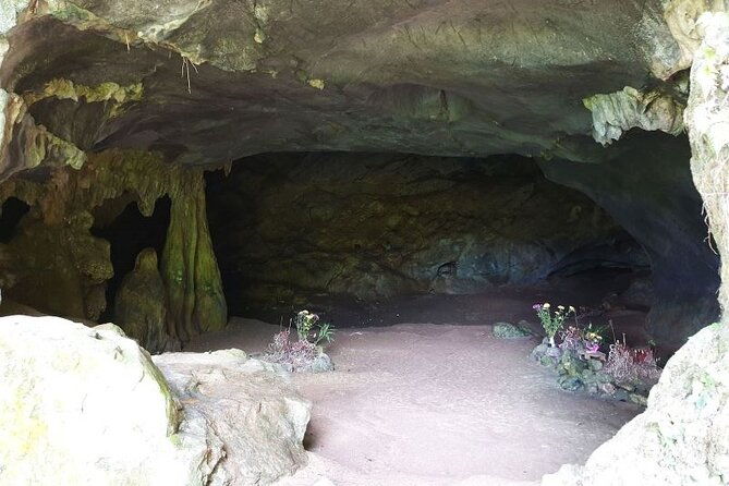 Cuc Phuong National Park Private Day Tour: Trekking & Primates - Final Thoughts