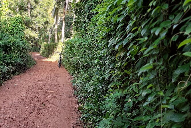 Cultural Cycling Tour - half day (8:00-11:30) - Unique Insights from Reviewers