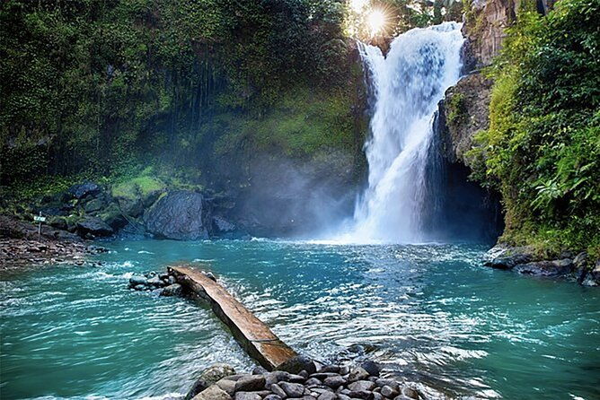 Customizable full-day tour of Bali with private driver - Who Should Consider This Tour?
