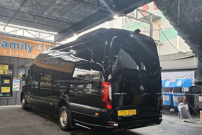 Customizable Private Seoul Tour in luxury van for VIP - FAQs