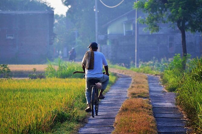 Cycling Tour in Yogyakarta with Lunch 3-Hour - Authentic Insights from Reviewers