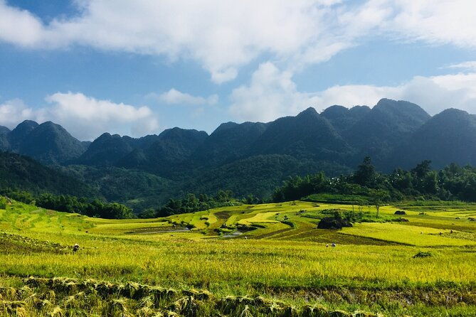 Daily Shuttle Bus Transfer Hanoi to Pu Luong or return - Who Will Love This Service?