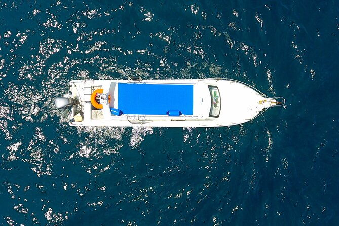 Daily Trip Highlight Komodo Archipelago by Speed Boat - FAQs