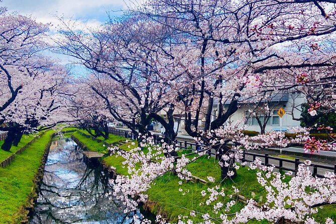 Day of Edo Exclusive Tour at Kawagoe - Final Thoughts: Is This Tour Right for You?