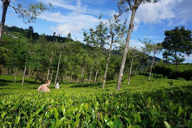 Day Tour of Nuwara Eliya - Final Thoughts