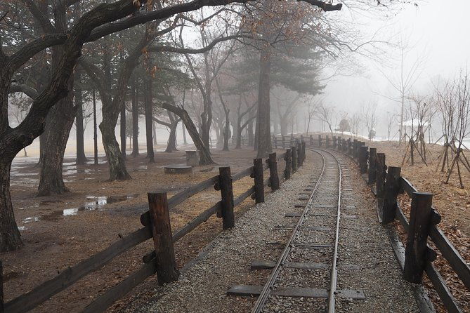 Day Tour to Gangchon Rail Bike Nami Island and Petite France - Final Thoughts: Who Is This Tour For?