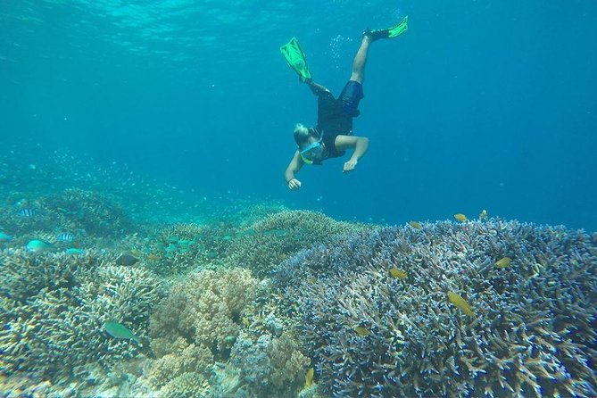 Day Trip Gili Trawangan, Gili Meno, Gili Air (Depart Lombok) - FAQ