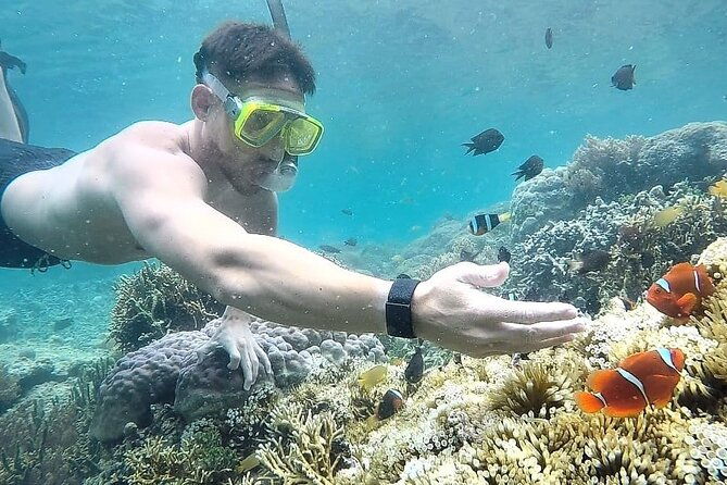 Day Trip Secret Island West Of Lombok - Authentic Experiences from Reviewers