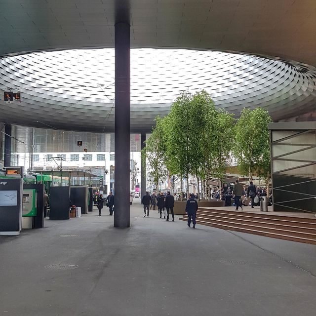 Discover Basel's Charm: Exclusive Private Walking Tour - Who Should Book This Tour?