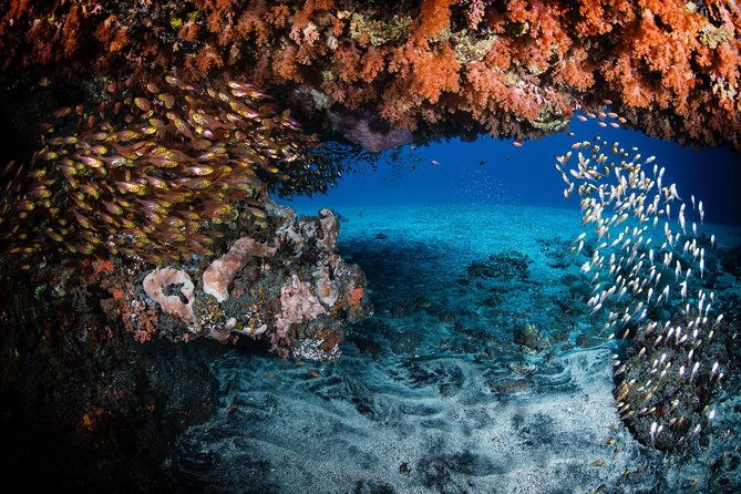 Discover Scuba Diving in Tulamben - Diving Initiation in Bali best diving sites - The Sum Up