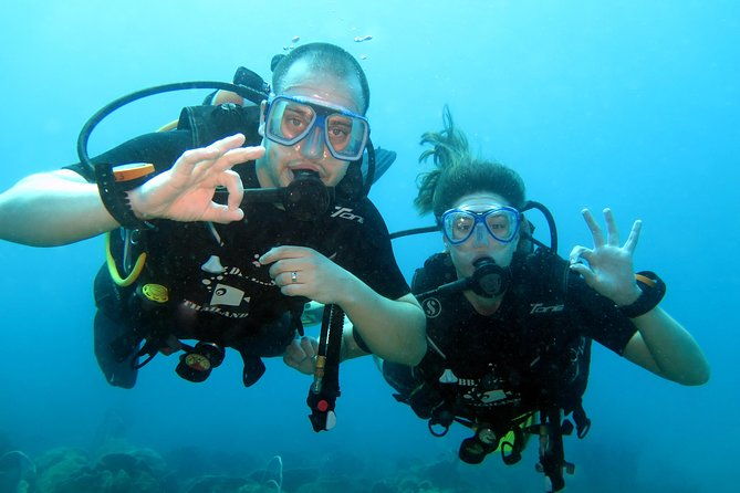 Discover Scuba diving, try diving for beginners (starts from Koh Chang) - Final Thoughts: Who Should Consider This Tour?