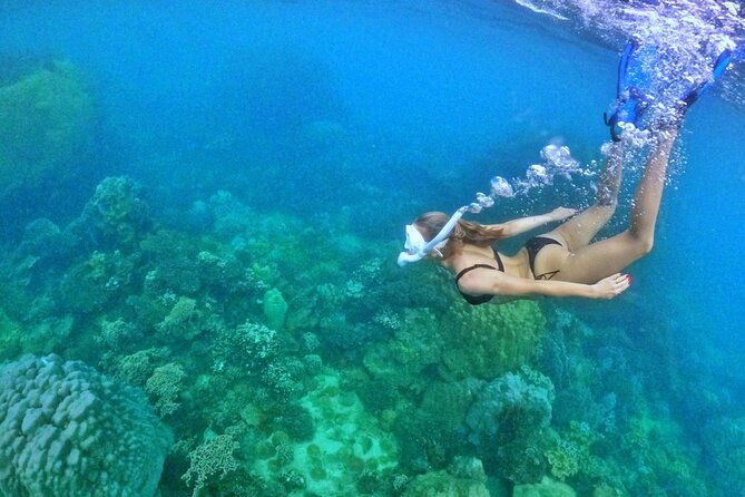 [DISCOVERY SNORKELING] 4 Islands-2 Reefs & BBQ [MAX 12 PAX] - Who Will Love This Tour?  