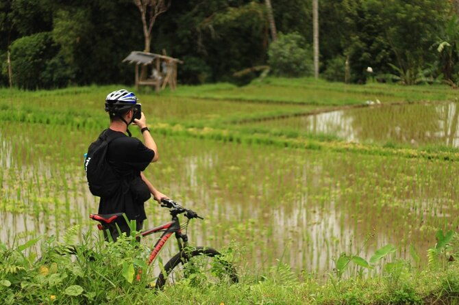 Downhill Cycling Ubud with Volcano,Rice Terraces,Jungle and Meals - Safety and Comfort