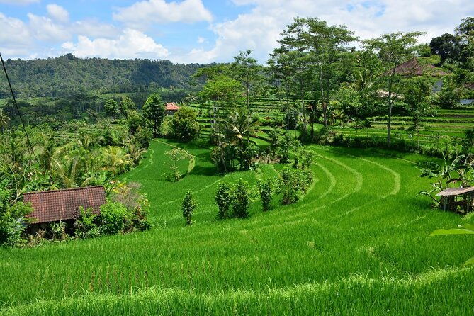 East Bali Tour: Gate of Heaven, Water Palace, Sleeping Gajah - Final Thoughts