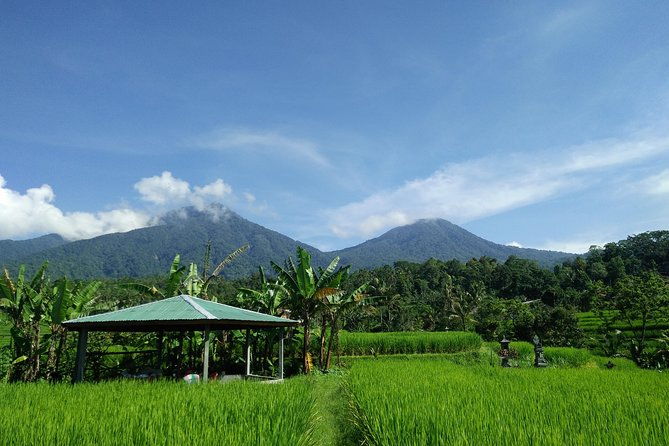 Electric bicycle tour in Jatiluwih UNESCO site - Authentic Experiences Highlighted by Reviewers