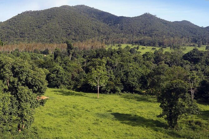 Elephant and Animal Watching in Kuiburi National Park - Join Afternoon Tour - FAQ