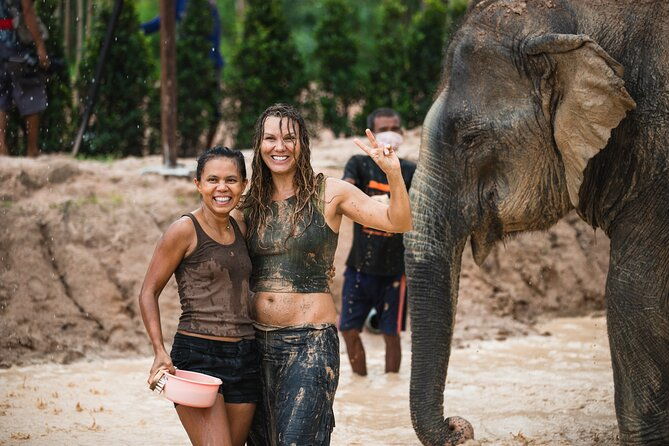 Elephant Jungle Sanctuary: Half Day Afternoon Program - Who This Tour Is Perfect For