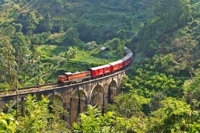 Ella to Mirissa Shuttle & Safari Drive - Authentic Experiences and Practical Details