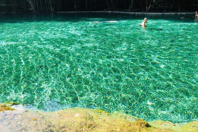 Emerald Pool: Jungle Tour, Private Full Day with Lunch - Additional Notes: Practical Considerations