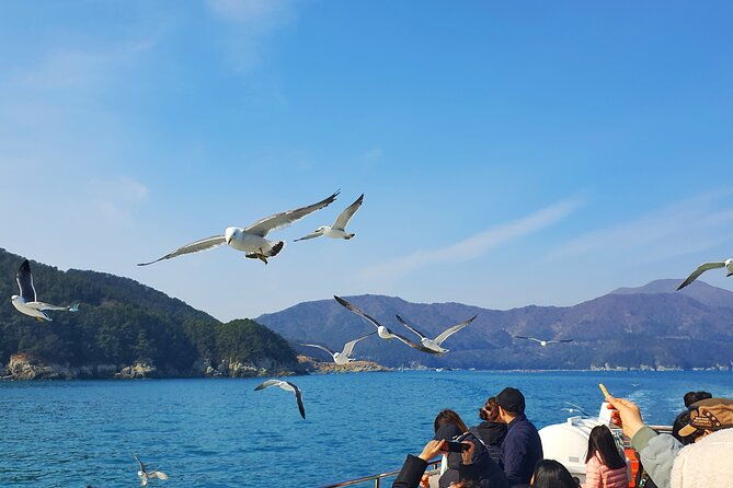 Enchanting Oedo Island Day Tour from Busan with Windy Hill - FAQ  