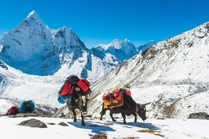 Everest Base Camp Trek 14 days - FAQs