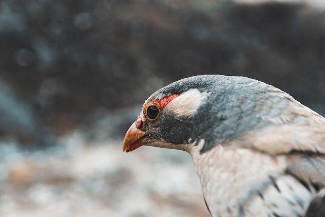 Everest Base Camp Trek - Who Would Love This Trek?