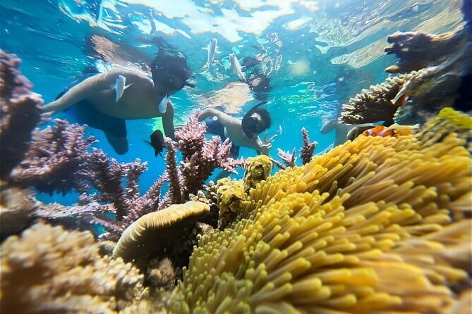 Experience Nha Trang Scuba Diving with Certified Dive - Authentic Experiences from Reviewers