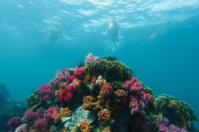 Experience the Koh Lipe Frontier in the Eastern Adang Archipelago - What We Loved Based on Real Experiences