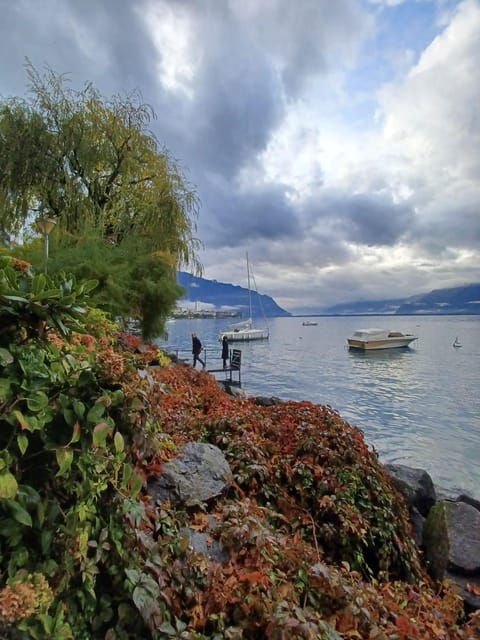 Explore Montreux in 90 mins: from Lord Byron to Queen - FAQ