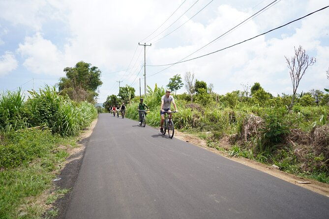 Explore Ubud with Electric Bike - Final Thoughts