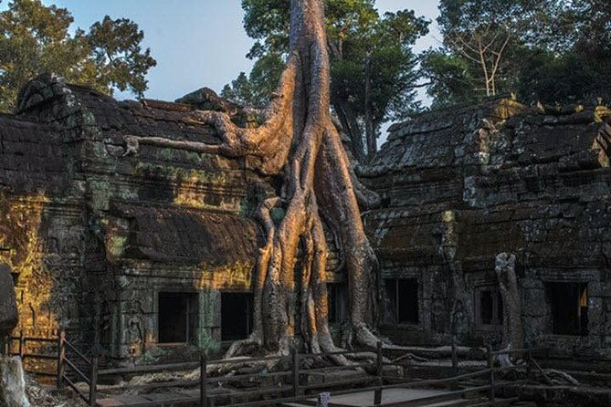 Exploring Angkor Wat highlight with Sunrise Tour-Small Group - Insights from Travelers