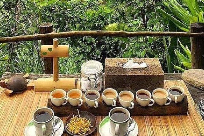 Favorite Sites of Ubud Daytrip - Who Should Consider This Tour?  