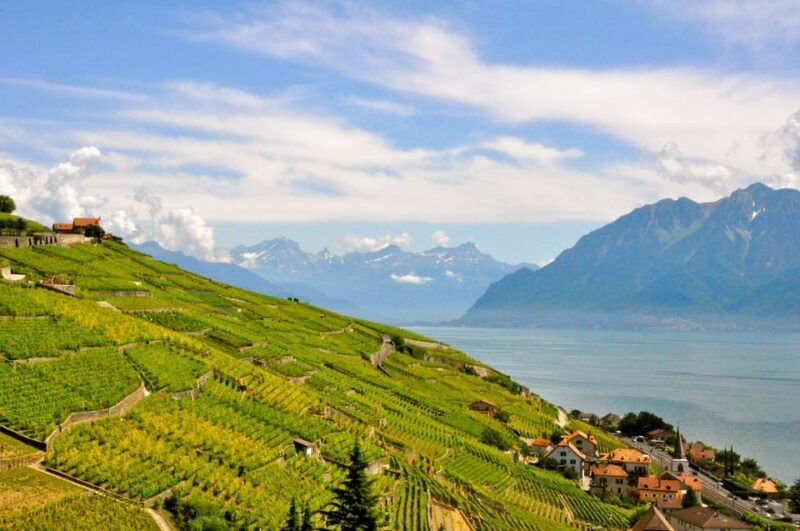 From Geneva: Gruyères Private Tour Cheese & Chocolat Factory - Final words