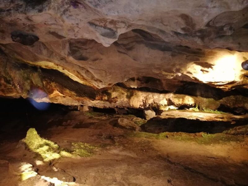 From Interlaken: Beatus Caves, Blue Lake and Lake Thun Tour - Who Should Consider This Tour?