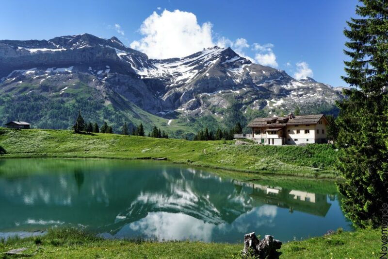 From Lausanne: Glacier 3000 experience and Montreux - What Past Travelers Say