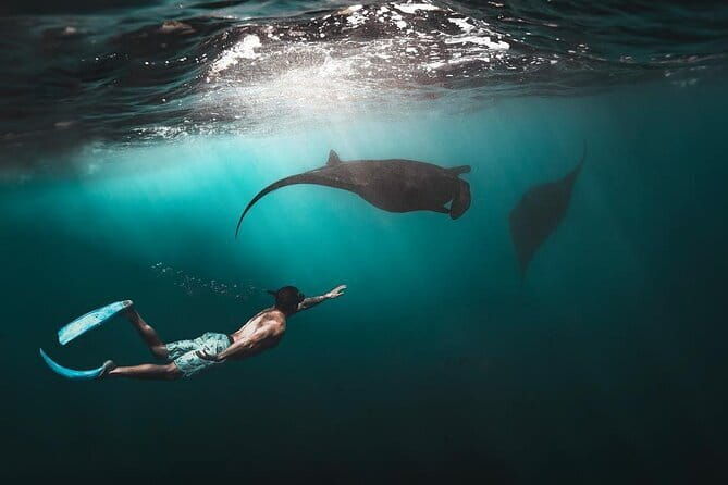From Nusa Lembongan Manta Snorkeling Trips with Pickup Included - Conclusions