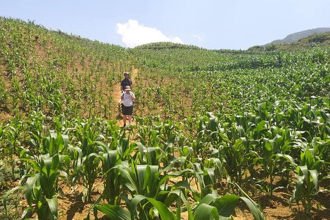 From Sapa: 2 Day Tour Through Villages and Countryside - What’s Included and What’s Not