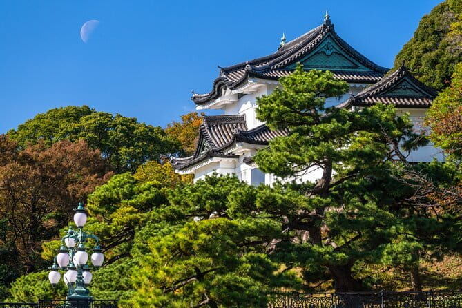 From Tokyo: Mount Fuji Sightseeing One Day Trip - The Sum Up